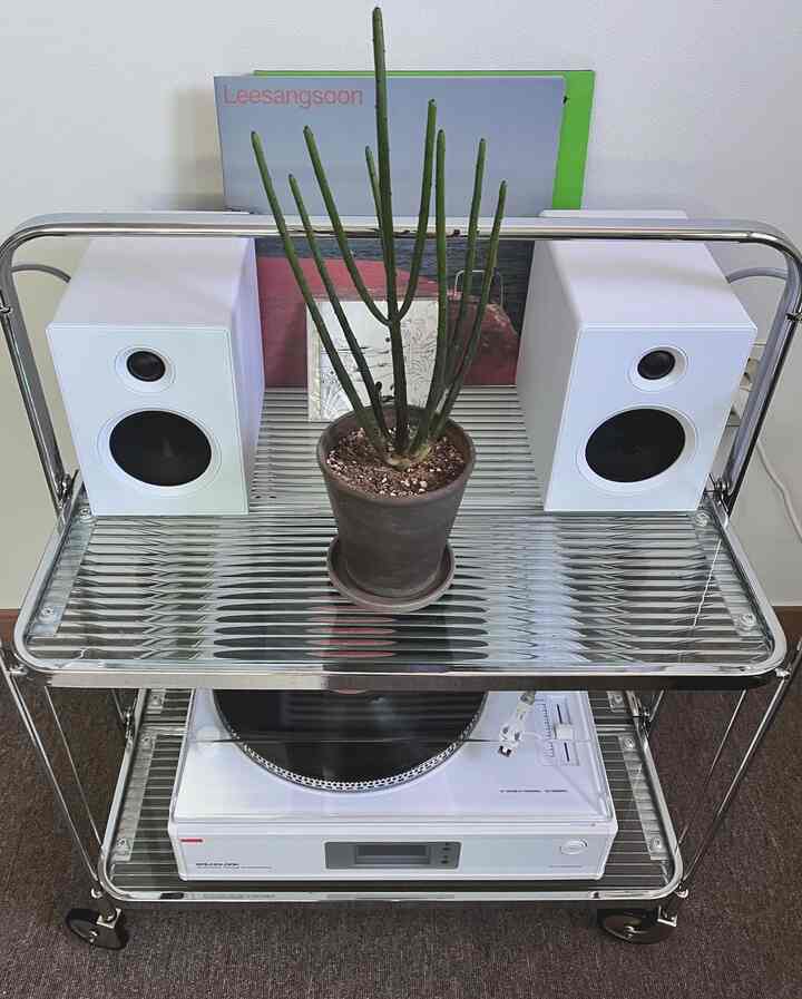 ホワイトとブラウンのトーンが調和したキッチンワゴンにサウンドルックのターンテーブルとペンシルサボテンが配置されたミニマルでモダンなインテリア