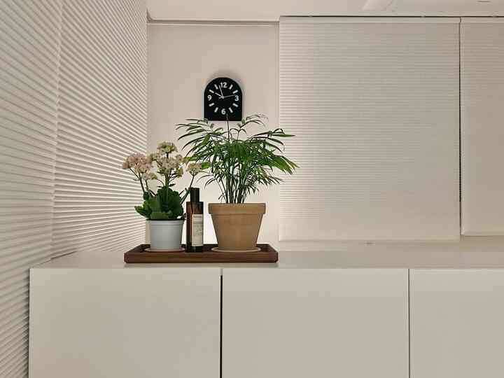 白を基調としたキャビネットとブラインドがあるシンプルでナチュラルなリビング、中央に植物と時計が配置されている