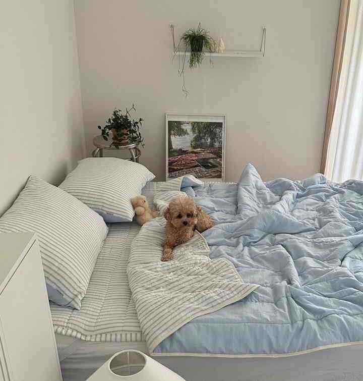 白とライトブルーのトーンの寝室、小さな犬がベッドの上にいる穏やかで整った空間