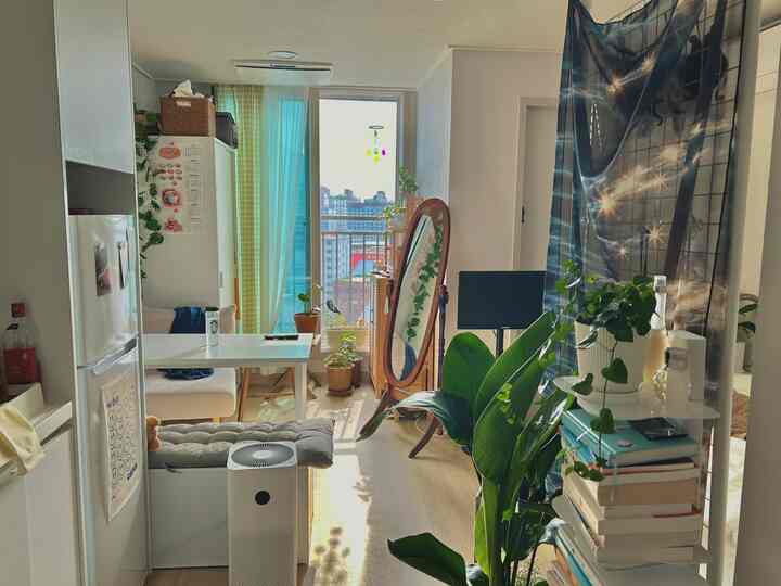 明るい白と木目調のワンルーム玄関兼リビング、多様な植物とファブリックが配された雰囲気のある空間