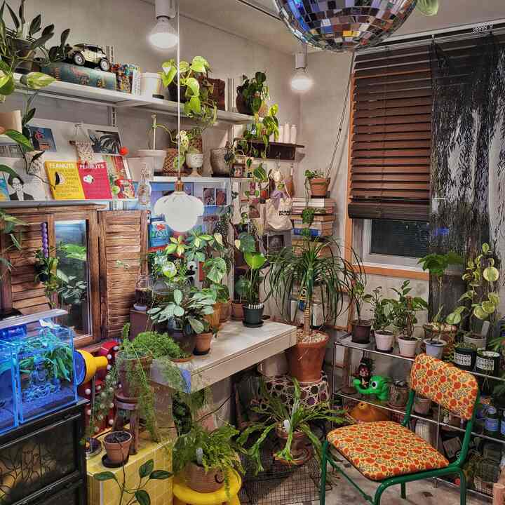 白と緑のトーンの狭い植物部屋、多様な植物とレトロな黄色のスツール、木製ブラインドが配置された自然な印象のインテリア