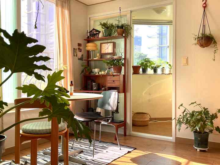 温かみのあるナチュラルトーンのリビング、木製キャビネットと丸いダイニングテーブル、多数の植物が調和した空間