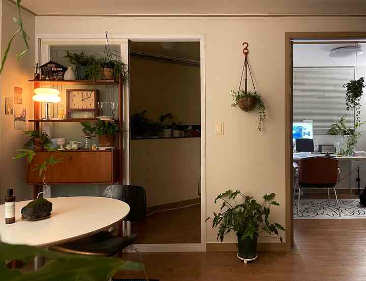 ブラウンの木目調とホワイトを基調としたリビング、ダイニングテーブルと多様な植物が配置された自然な雰囲気のインテリア