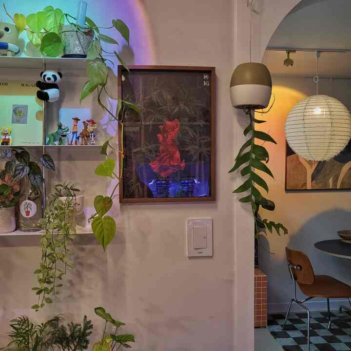 白い壁とナチュラルな植物が調和したカフェ風ダイニングルーム、かわいらしいウォールデコと照明が雰囲気を彩る空間