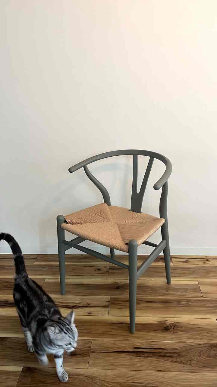 ナチュラルな木目調の床とグレーのフレームに茶色の座面を持つYチェアが配置され、猫が近くを歩くミニマルな空間