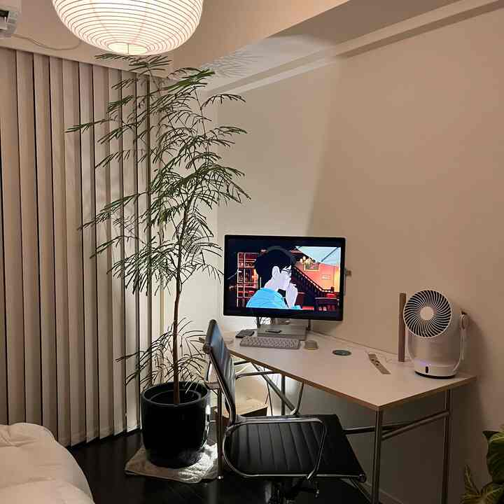 🇯🇵 植物と猫、大好きなインテリアに囲まれる暮らし🪴🐈