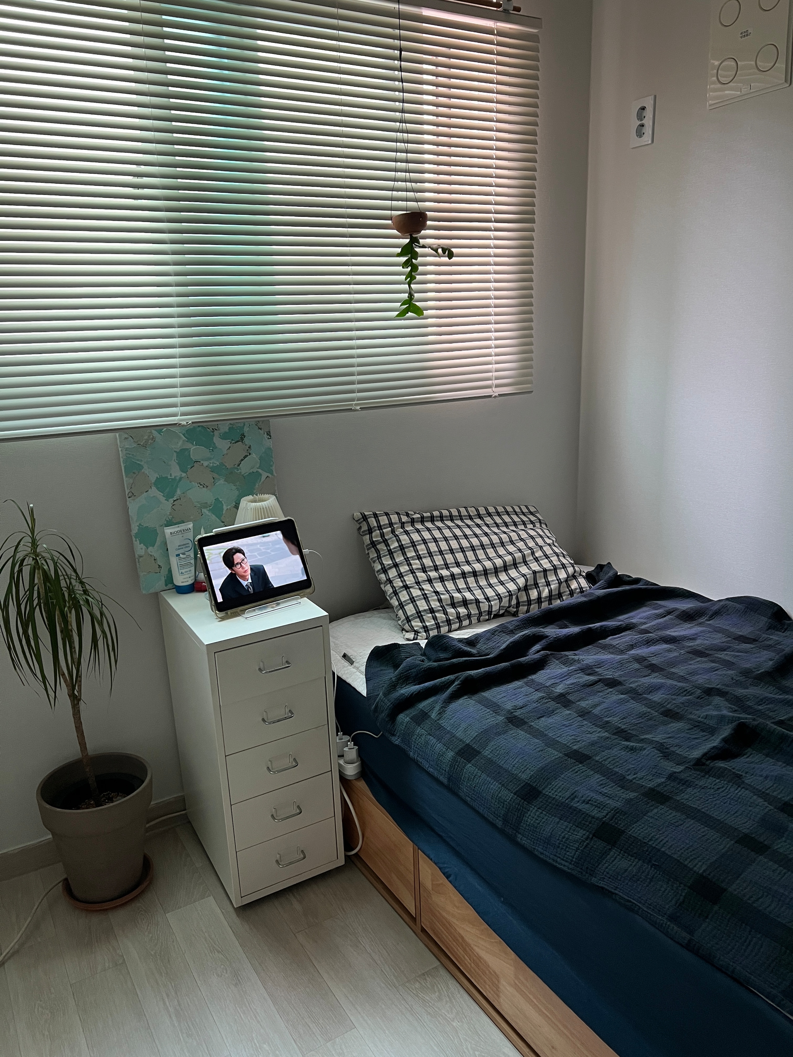 Butter Soft & Dust-Free Mattress Cover user photo