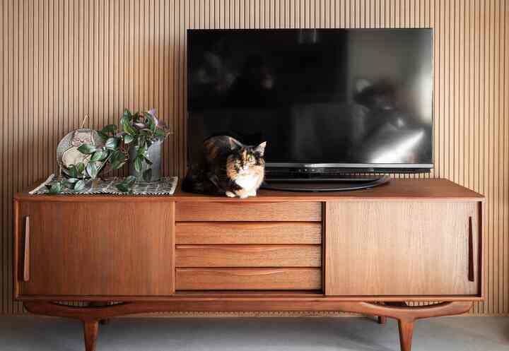 ナチュラルな木目調のリビング、ヴィンテージチークのテレビ台と猫が置かれた温かみのある空間