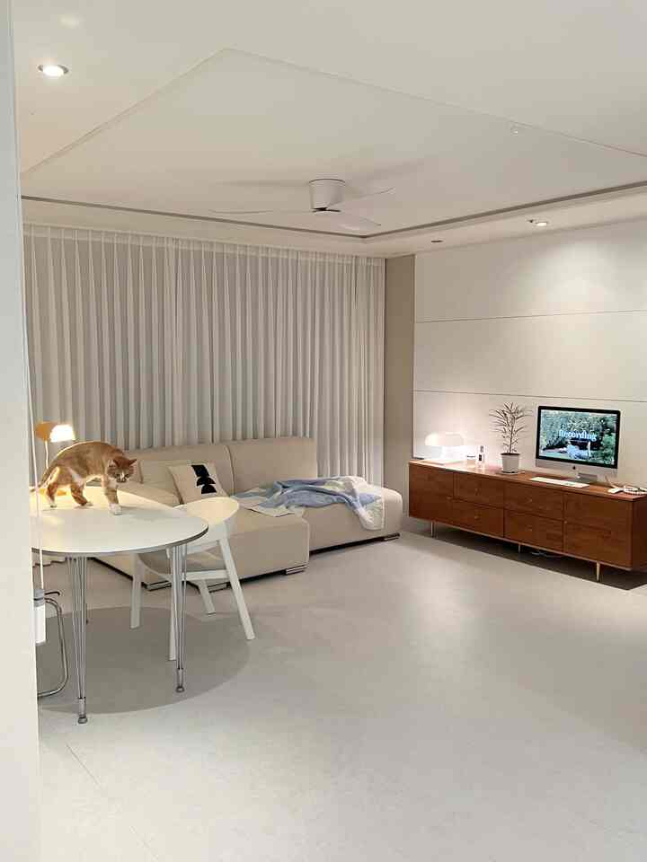 白とナチュラルウッド調のリビング、丸いダイニングテーブルの上に猫がいる雰囲気のある空間