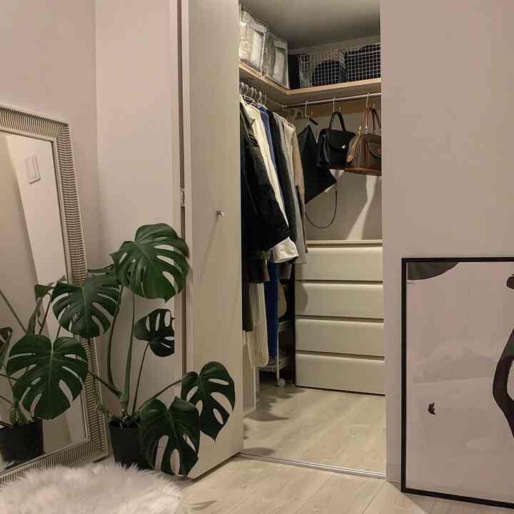 白とナチュラルカラーのウォークインクローゼット、キャビネットと大きな鏡、観葉植物が配置された雰囲気のある収納空間