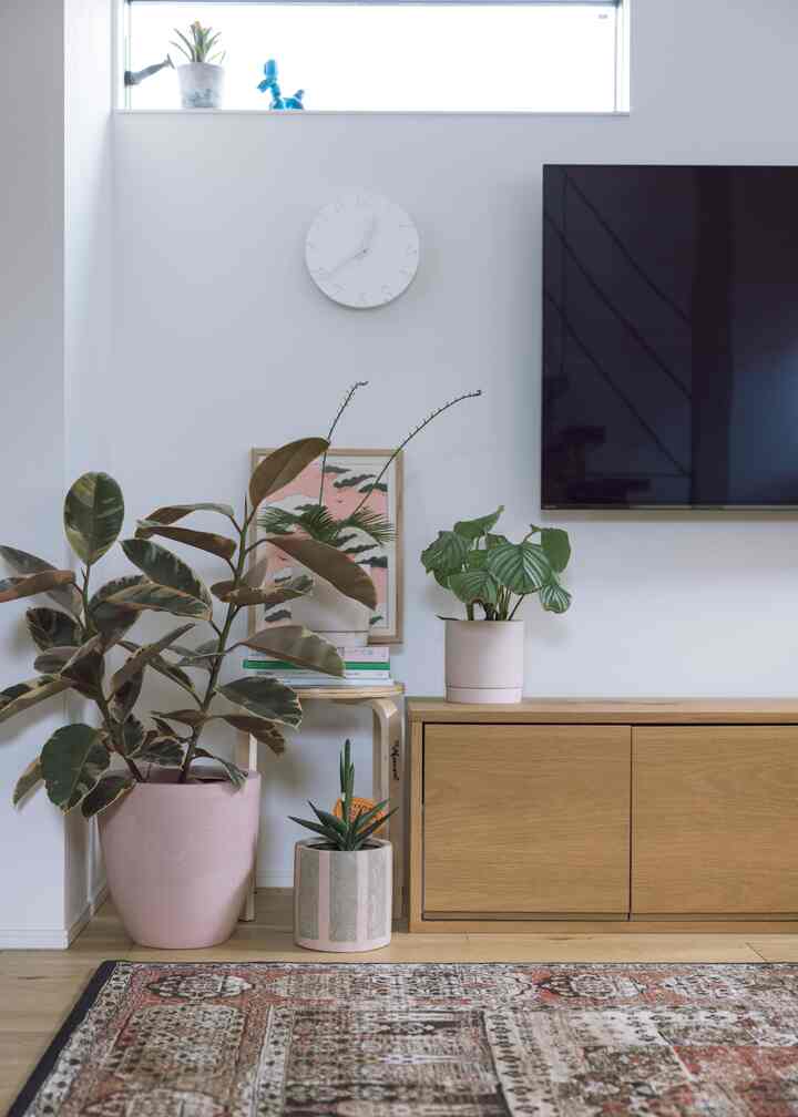 白い壁と木目調家具、植物が配置されたシンプルなリビングルーム