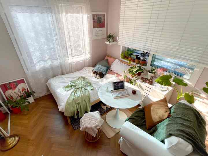 白とナチュラルカラーの一人暮らし用寝室兼リビング、ベッドやソファ、ダイニングテーブル、植物が配置された雰囲気のある空間