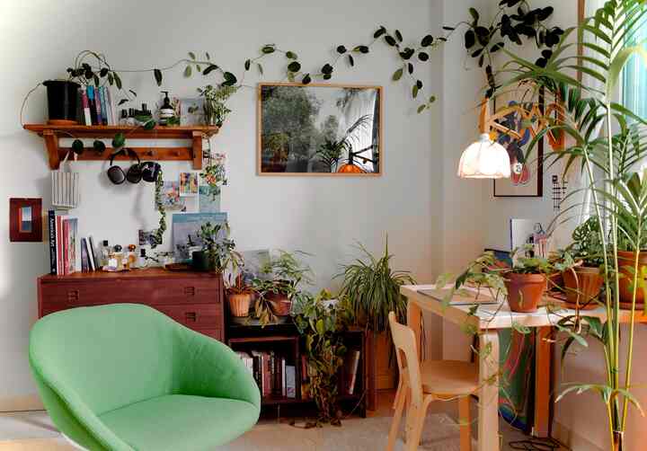 🇰🇷 植物に囲まれ、夏らしさを全面に出した1DKインテリア