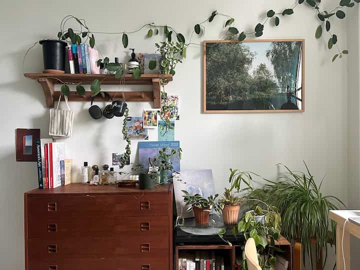 ナチュラルな木製のチェストと多くの植物が配置された落ち着いた雰囲気の室内空間