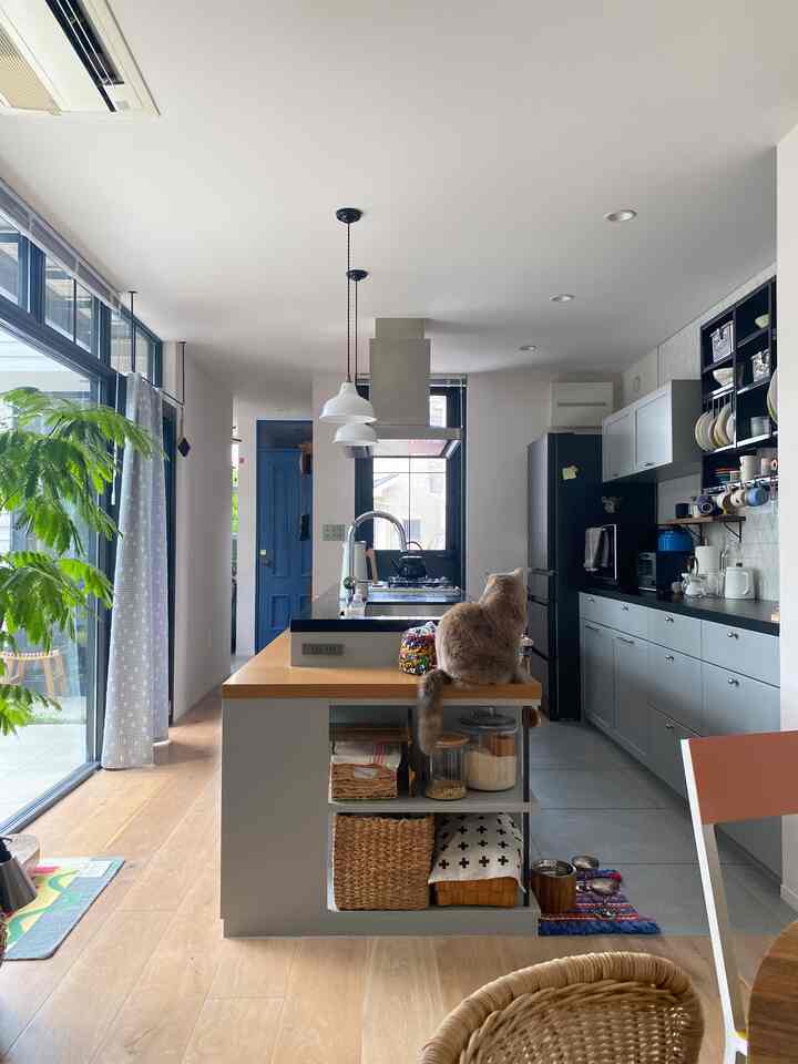 ナチュラルな色調のキッチンとリビング空間、中央にキッチンアイランドがあり窓辺に猫がいる温かみのあるインテリア