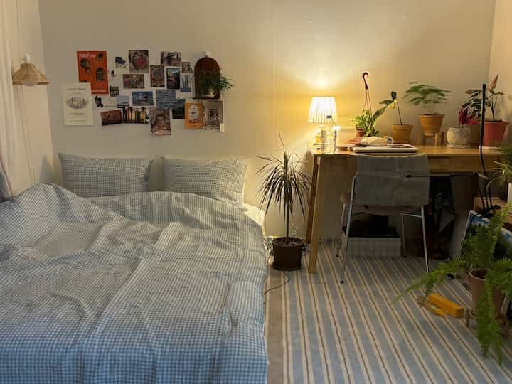 パステルブルーのチェック寝具と木製デスクが置かれた一人暮らし用寝室、多様な植物とポスターが温かみのある雰囲気を醸し出すインテリア