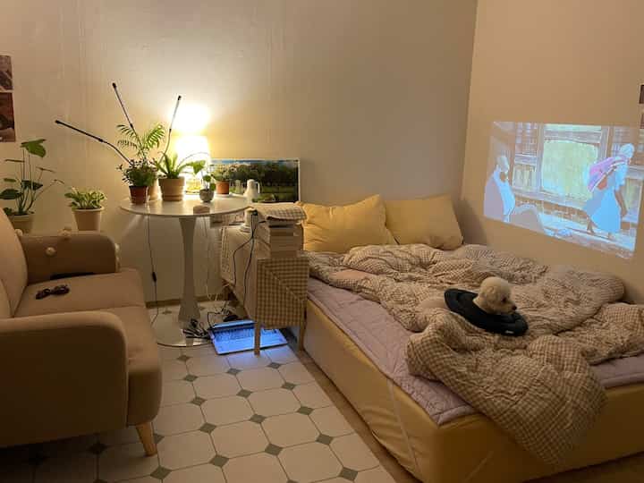 🇰🇷 趣味とライフスタイルに合わせた家具配置を替える方法