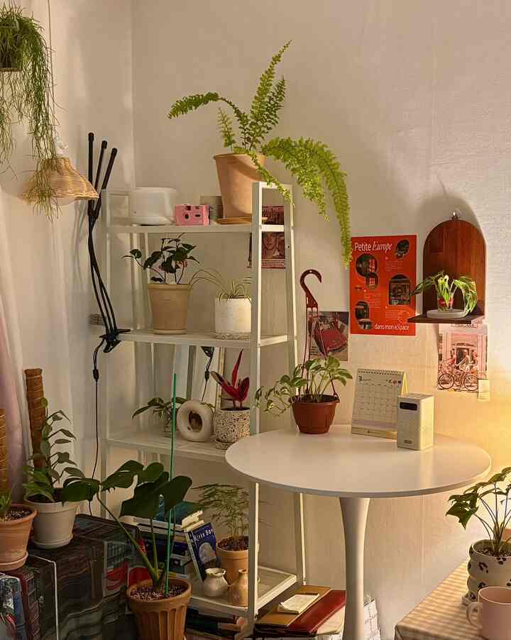 ホワイトトーンの壁と丸テーブル、メタルシェルフに多様な植物が配置された温かみのある室内空間