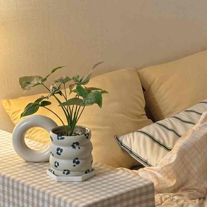 柔らかく温かみのあるベージュ調の寝室、中央にドーナツ形の陶器オブジェと緑の植物が置かれ、チェック柄のテーブルとクッションが配置された居心地の良い空間