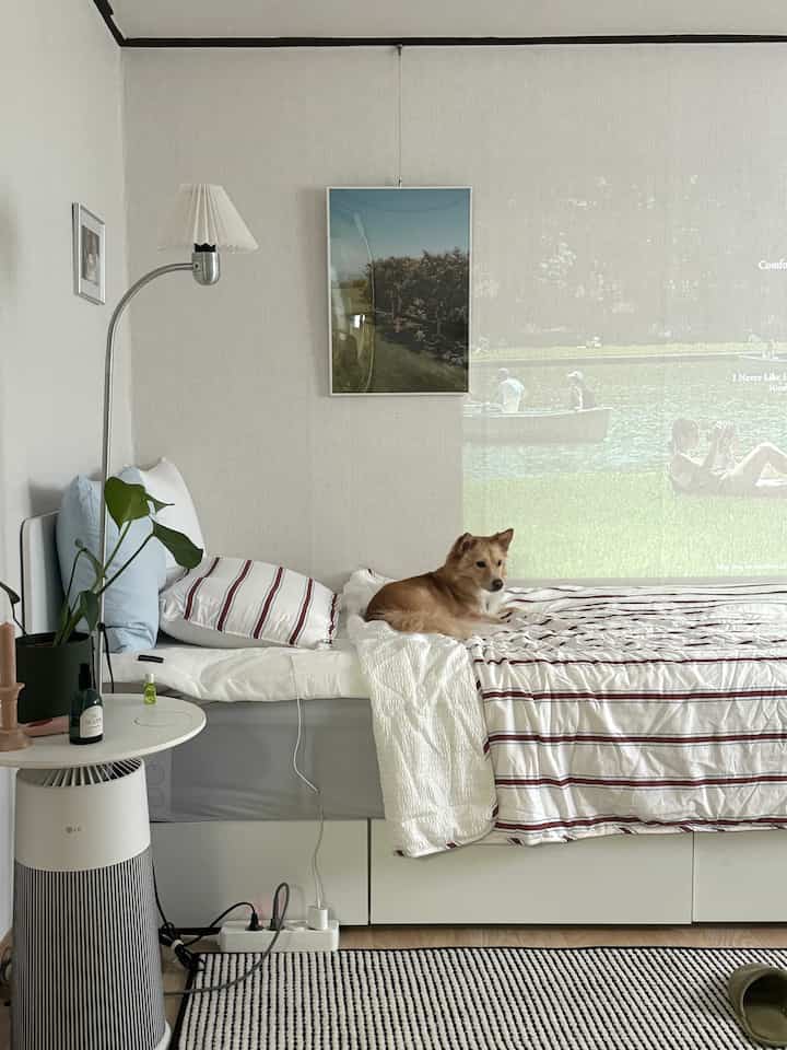 Catieさんのインテリア実例写真