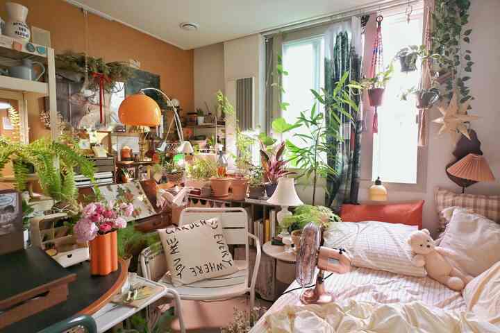 🇰🇷 植物に囲まれた4畳部屋、好きを諦めない暮らし方とは
