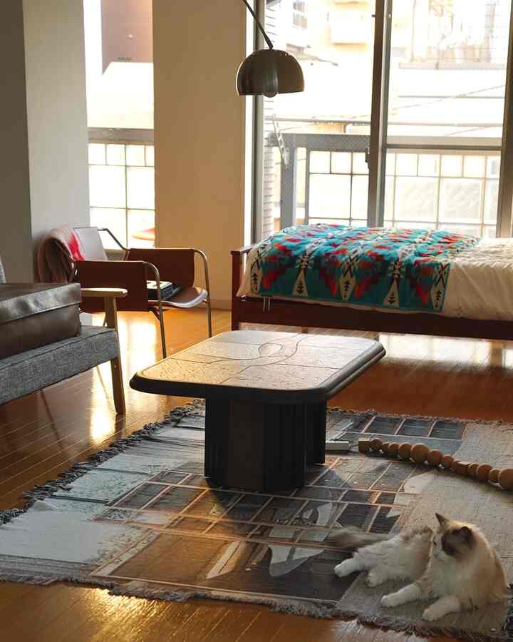 暖かいナチュラルな色調の寝室、大きな窓と多彩な家具が配置された雰囲気のある空間、ラグの上に猫がくつろいでいる