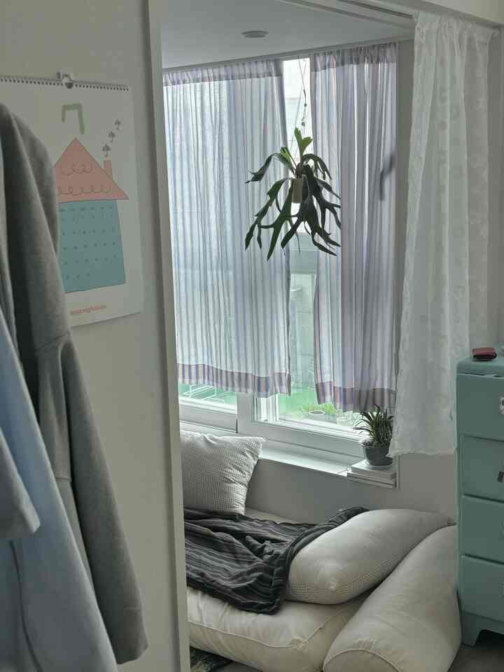 淡いブルーとホワイトの色調の玄関付近、ストライプのカーテンとクッション、2つの植物が配置された居心地の良い空間