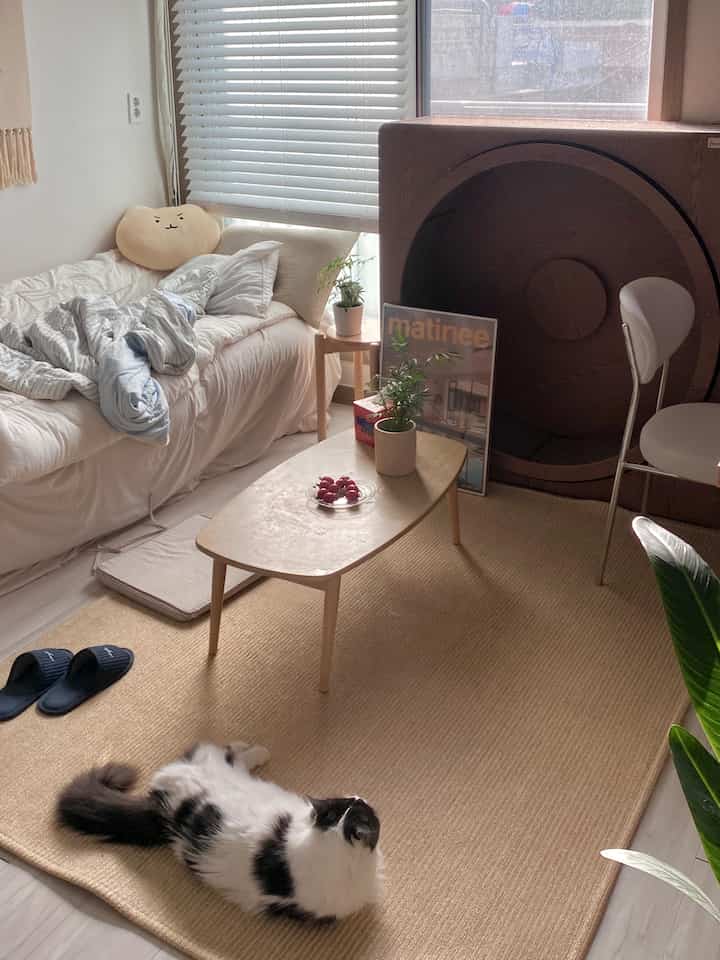 ウッドトーンとベージュの色調のリビング、白いソファと木製のコーヒーテーブルがあり、ラタンラグの上で猫がくつろいでいる雰囲気のあるインテリア