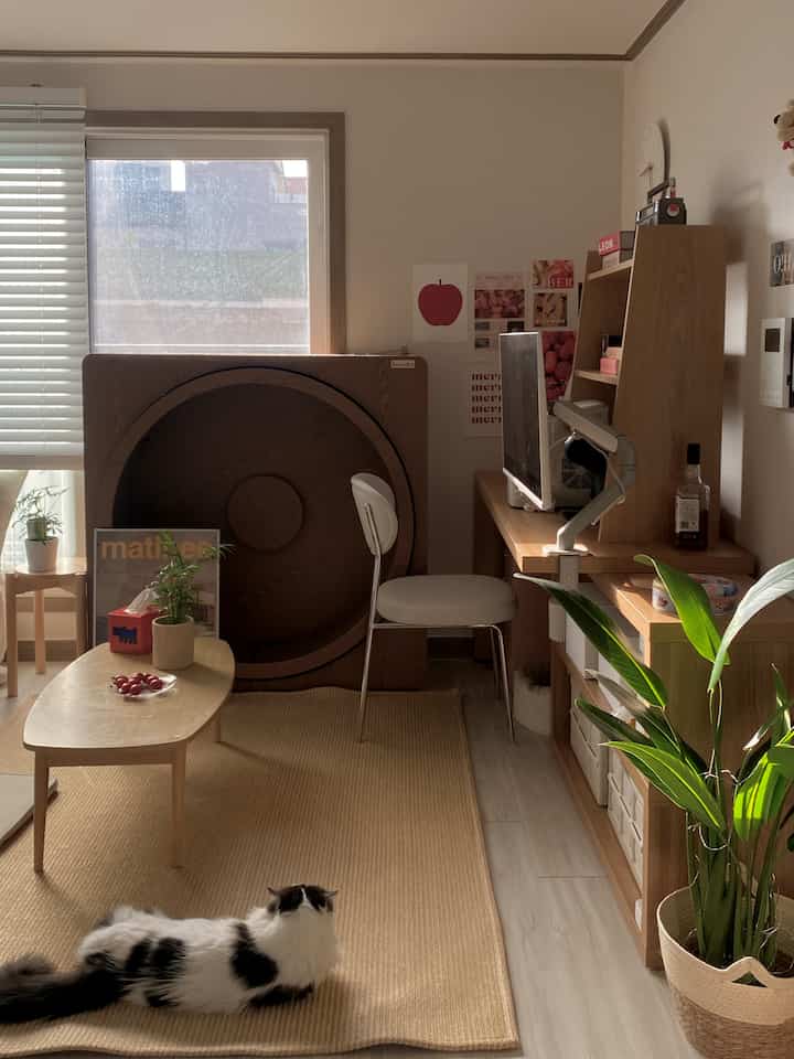 暖かい木目調とナチュラルカラーのリビング、ラグに横たわる猫と机が配置された落ち着いた空間