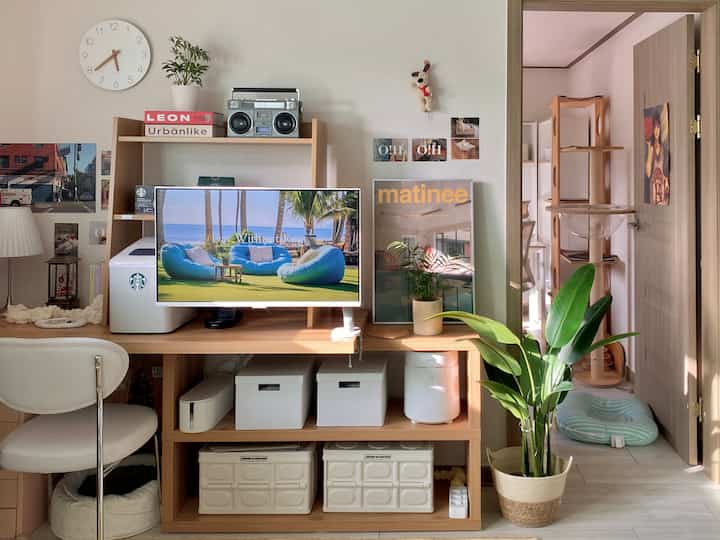 ホワイトと木目調の1LDKリビング、デスクとキャットタワーが配置された落ち着いた印象の空間