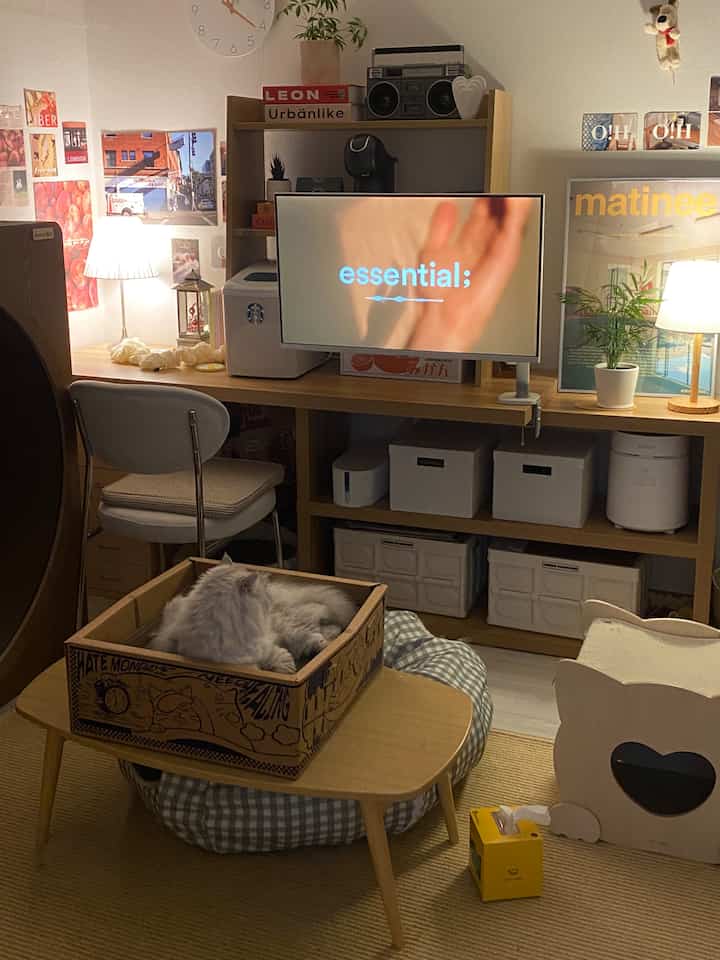 温かみのある木目調の照明が配置された書斎空間、机にはモニターがあり、猫が箱の中でくつろいでいる雰囲気のあるインテリア