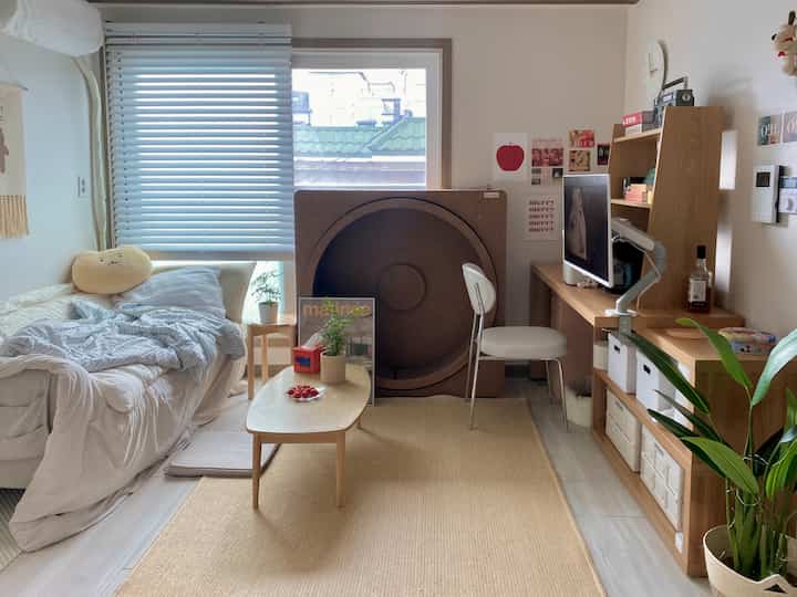 🇰🇷 家中が猫の遊び場😽みんながよろこぶ部屋づくり