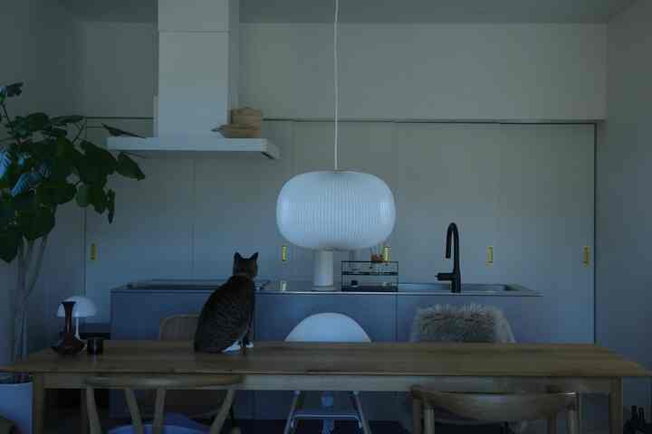 ナチュラルブラウンの木製ダイニングテーブルと白いペンダントライトが配置されたモダンなナチュラルキッチン、テーブルの上に猫が座っている