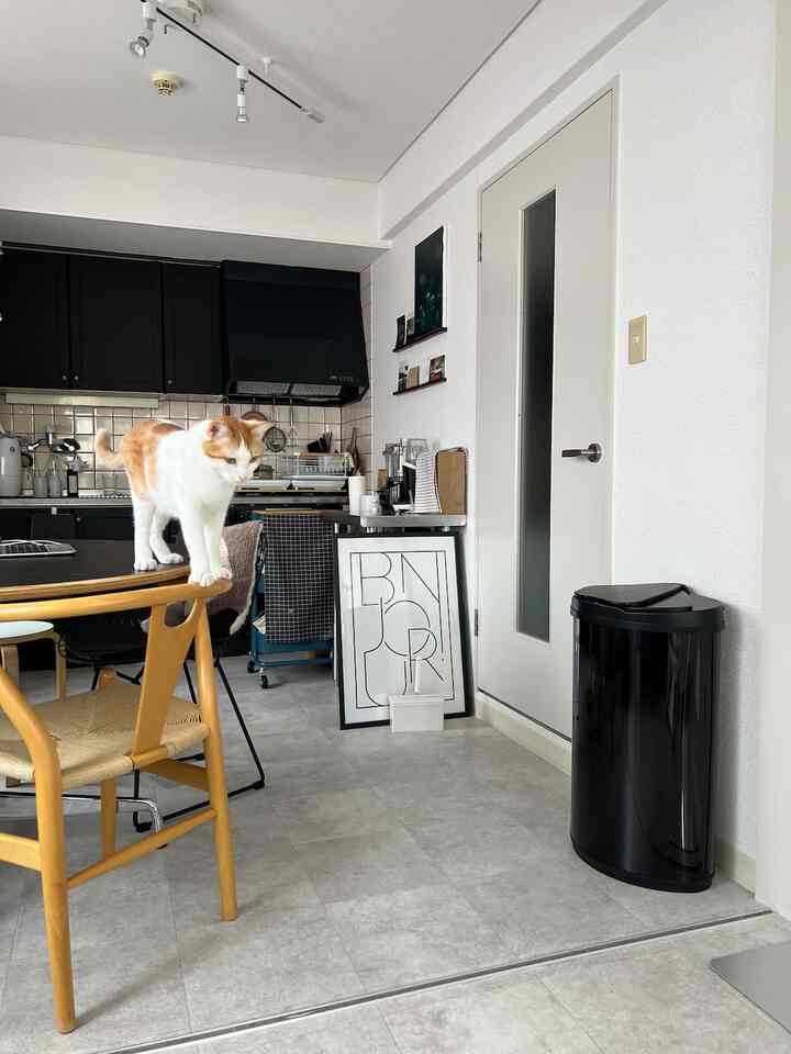 黒を基調としたキッチンとダイニング、椅子にいる猫が印象的なモダンな空間