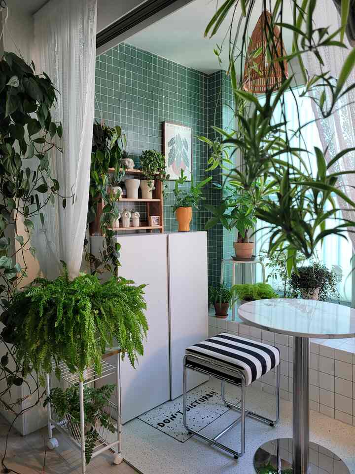 🏠Inside a 1210 sq ft sanctuary thriving with over 100 plants