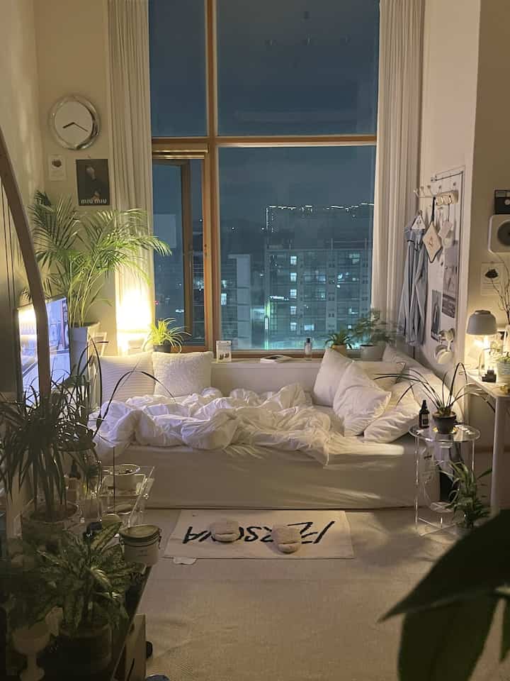 白を基調としたリビング兼寝室、ソファベッドと自然植物が配置された雰囲気のある空間