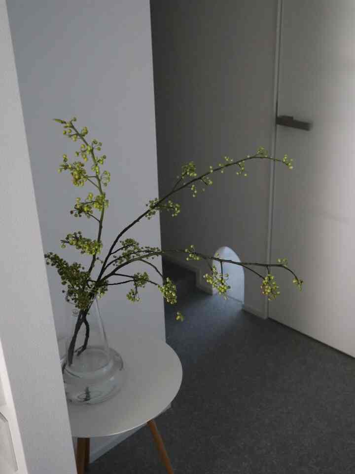 白を基調とした空間、小さな円形テーブルと犬用のR字型壁が見えるミニマルなインテリア