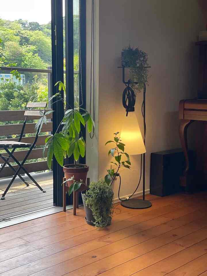 ナチュラルトーンのバルコニーが見える空間、木製の床とフロアランプ、複数の観葉植物が配置された雰囲気のあるインテリア