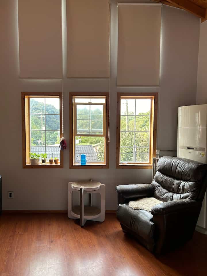 チャコール色の屋根が見えるベランダの窓と木目調の床、リクライニングチェアのある猫と暮らす自然なリビングスペース