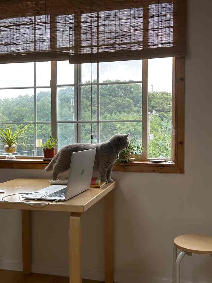 ベージュと木目調の調和した小さなホームオフィス空間、窓辺には猫と植物が配置されたシンプルなインテリア