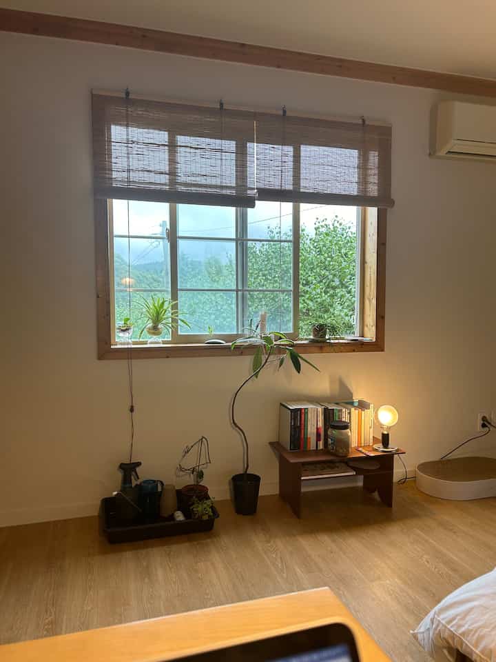 暖かいベージュトーンのリビング、自然光が差し込み、ビパナツリーと本棚、テーブルランプが配置された自然な雰囲気のある空間