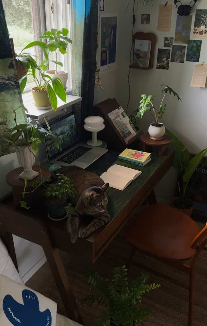 ナチュラルな木目調と緑の植物が調和した寝室の窓辺にあるホームオフィスのデスクと猫のいる落ち着いた空間