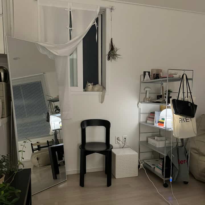 白い壁と床、黒い椅子と大きな全身鏡が配置されたモダンでシンプルなリビングに窓辺でくつろぐ猫の姿