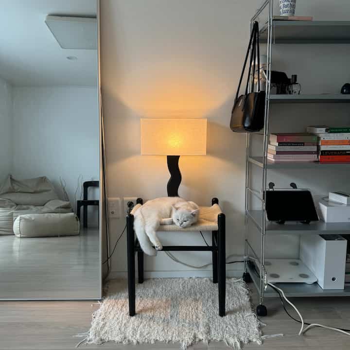 温かみのある照明が灯るナチュラルな寝室、黒いスツールとくつろぐ白い猫がいる印象的な空間