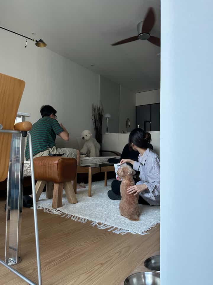 白と木目調が調和したリビングルームに、2匹の犬と人々が座る雰囲気のある空間