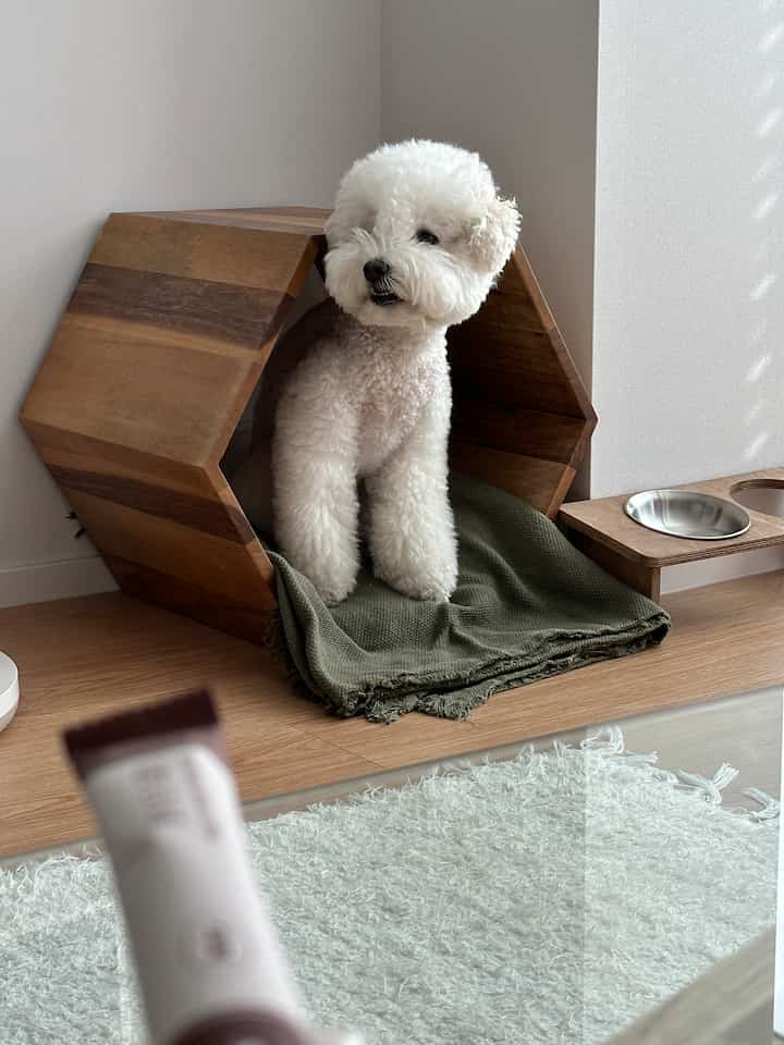 ナチュラルな木目調のリビング、木製のサイドテーブルをペットハウスとして利用した雰囲気のあるインテリア