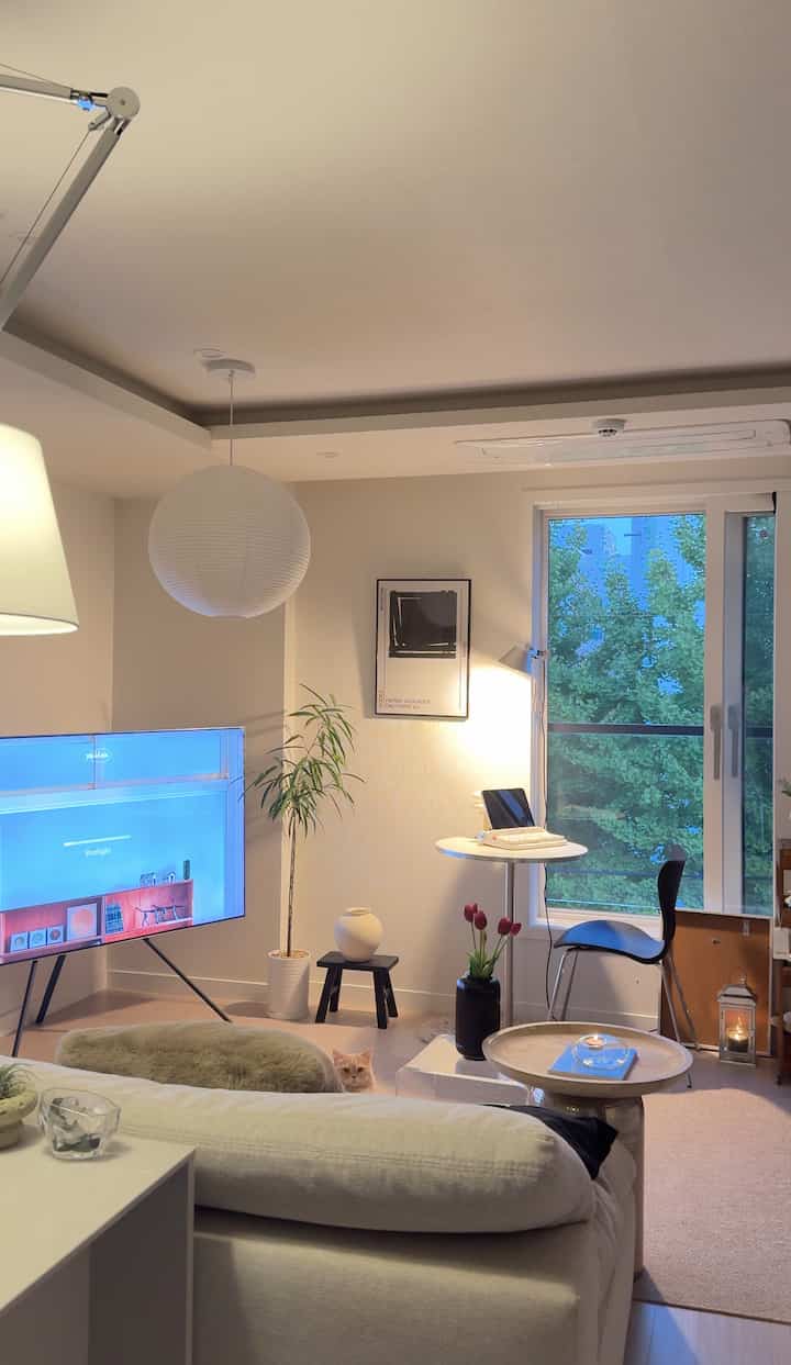 白と黒の調和が取れたリビング、ミッドセンチュリーモダンの家具とキャンドル、ペットの猫がいる雰囲気のあるインテリア