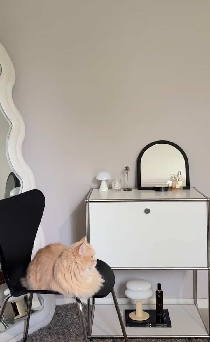 クールトーンの白と黒を基調とした寝室、黒い椅子に座る猫と小さな化粧台が配置されたモダンなインテリア