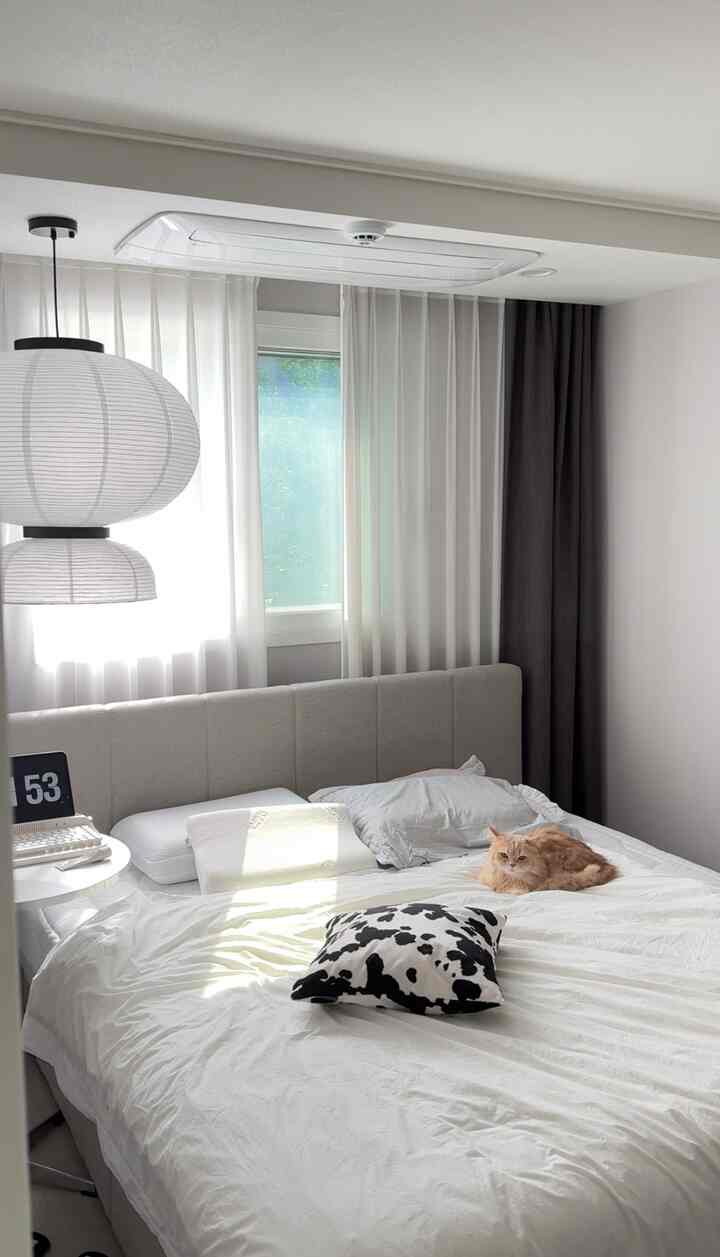 白とベージュの色調の寝室、大きなベッドと窓際のカーテンがあり、ベッドの上に猫がくつろいでいる雰囲気のあるインテリア