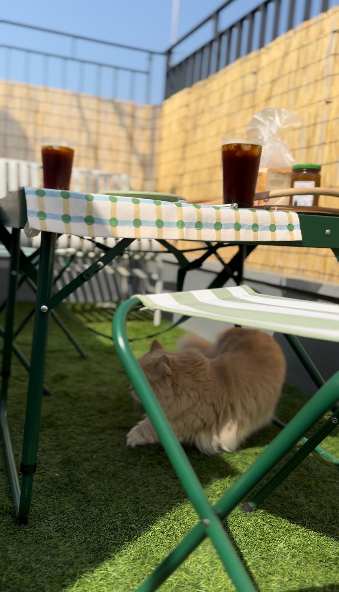 IKEA STRANDÖN ストランドン折りたたみテーブルセット［2色］ | ロー